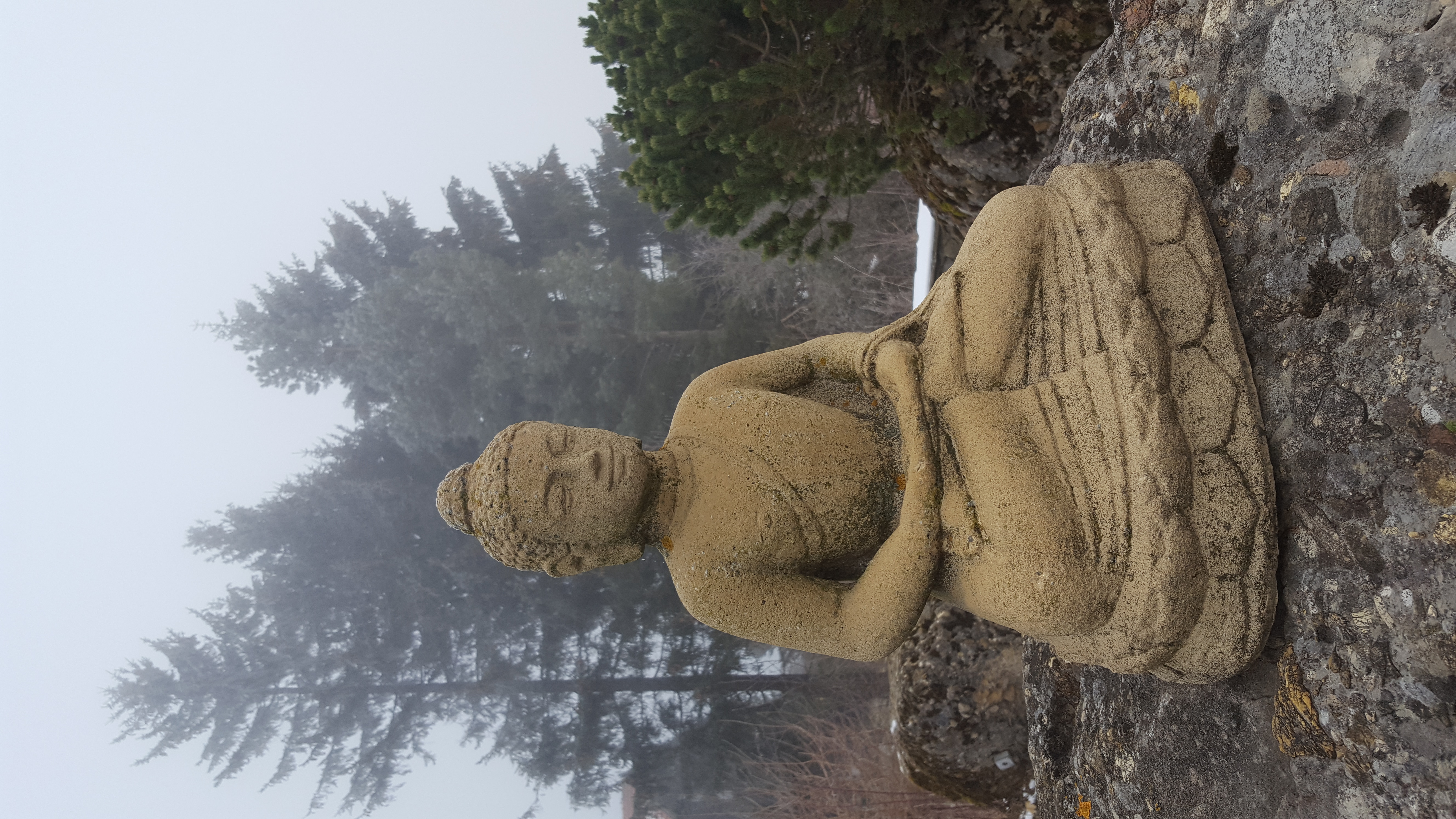 Coach für Geistesruhe Buddha