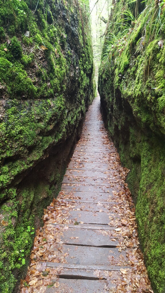 Coaching ist manchmal wie ein enger Weg durch eine dunkle Schlucht hinaus in eine schöne weite Landschaft.