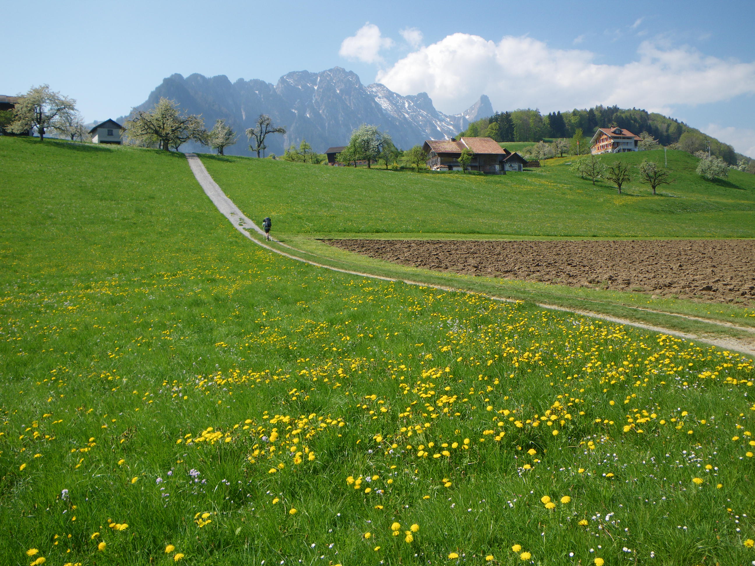 Nach erfolgreichem Coaching geht der Coachee bepackt mit Ressourcen in die Welt.